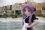 DSC06245s.jpg